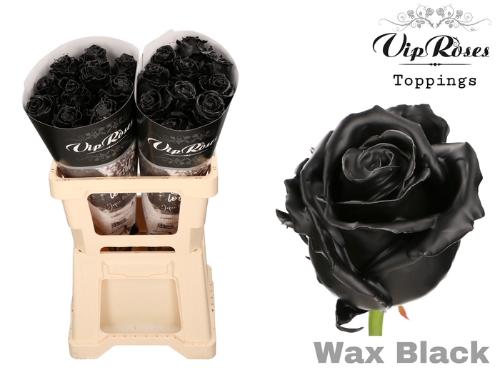 Rosa grootbloemig gewaxt H%