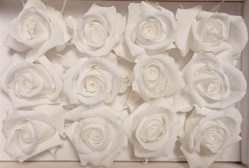 Rosa grootbloemig kleurbehandeld H%