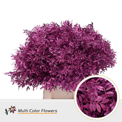 Decoratiegroen kleurbehandeld per bos H%