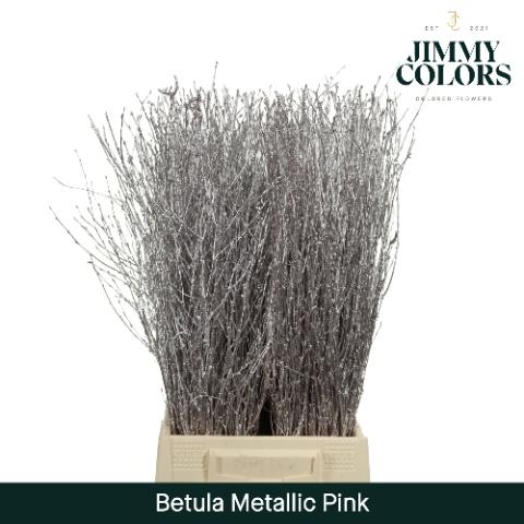 Betula kleurbehandeld H%