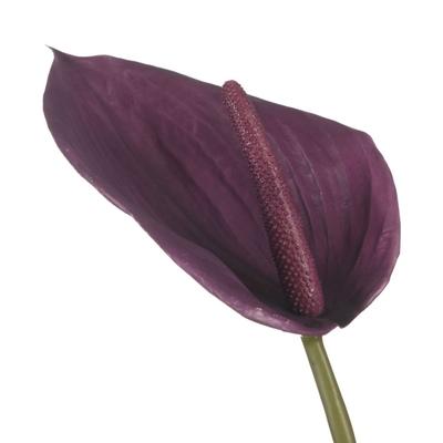 Kunstbloem H%