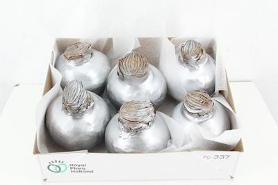 Huis en tuindecoratie overig H%