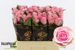 638def8b-5be4-40c7-942f-2b05391e4f39.jpg