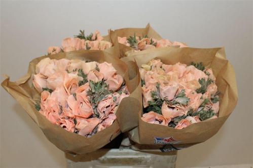 Snijbloemen overig kleurbehandeld H%