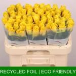 63dabdf1-2dac-4d52-8203-eb44f7c1deca.jpg