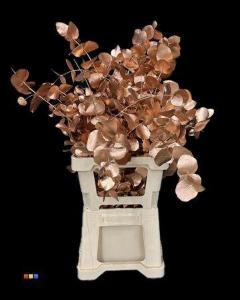 Eucalyptus cinerea kleurbehandeld per bos H%