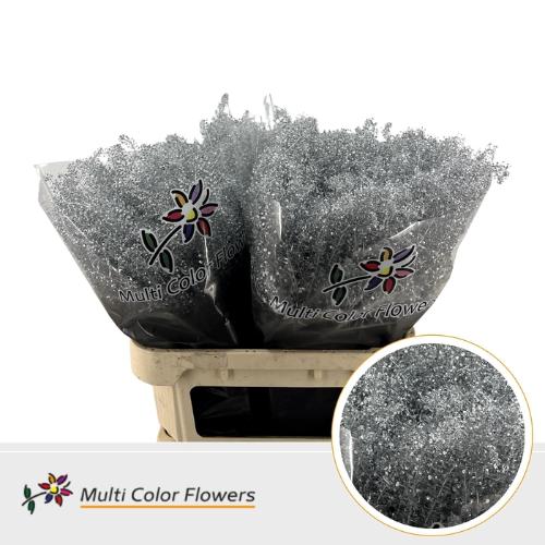 Lepidium kleurbehandeld H%