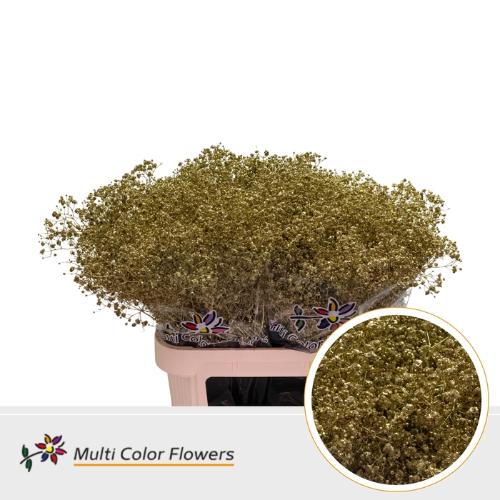 Gypsophila overig kleurbehandeld H%