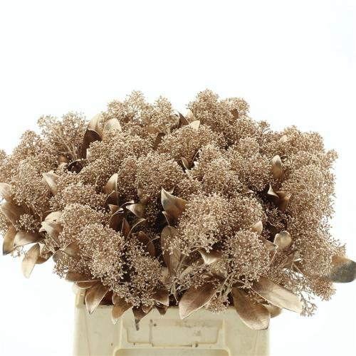 Skimmia per bos overig kleurbehandeld H%