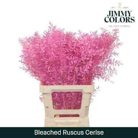 Snijbloemen overig kleurbehandeld H%