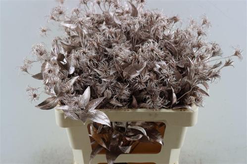 Snijbloemen overig kleurbehandeld H%