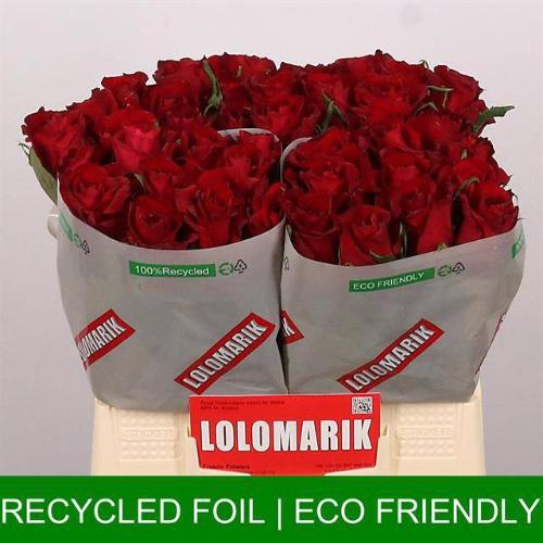 Rosa grootbloemig Ever Red