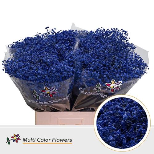 Gypsophila overig kleurbehandeld H%