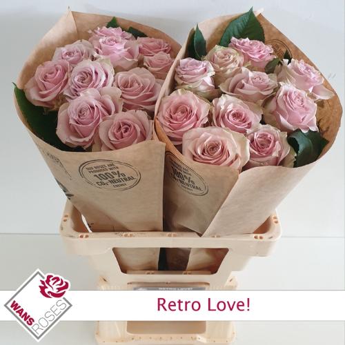 Rosa grootbloemig Retro Love!