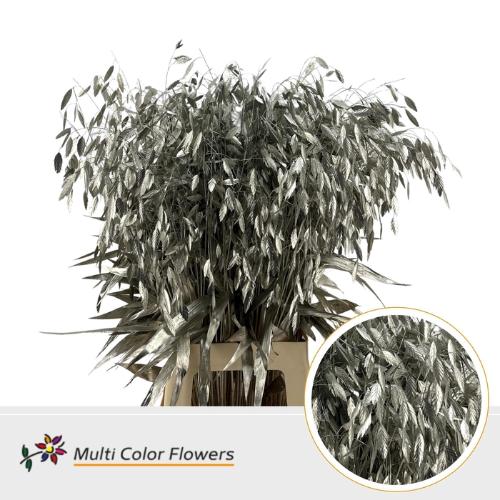 Siergras kleurbehandeld H%