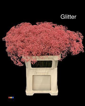 Gypsophila overig kleurbehandeld H%