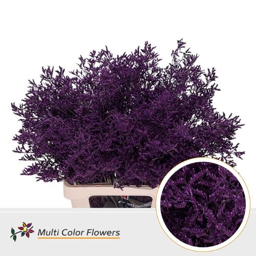 Limonium overig kleurbehandeld H%