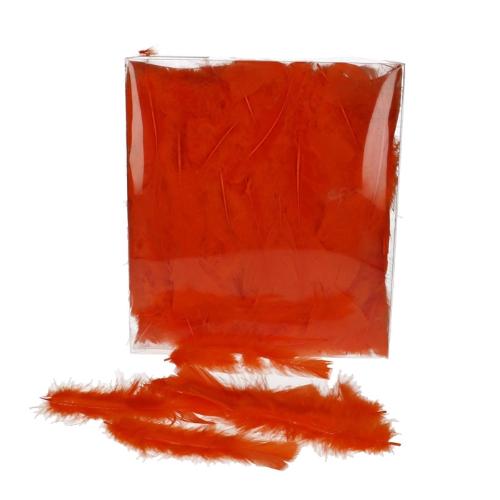 Feathers Turkey feather 45gr