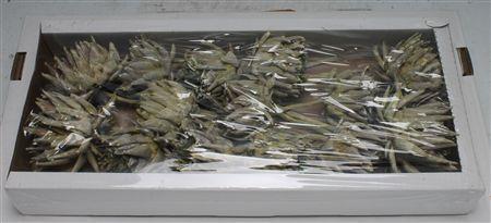 Huis en tuindecoratie overig 6%