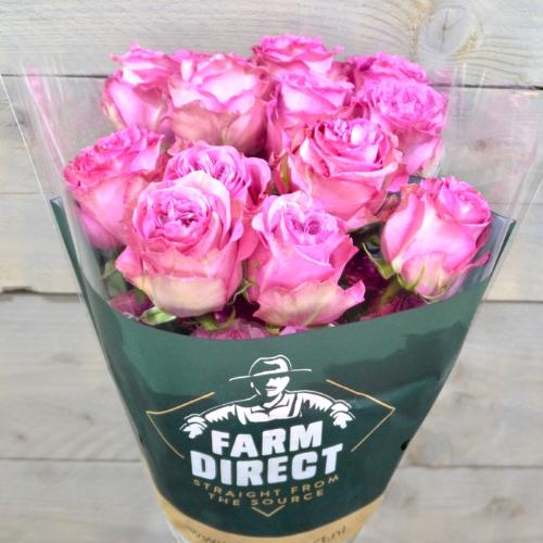 Rosa grootbloemig overig