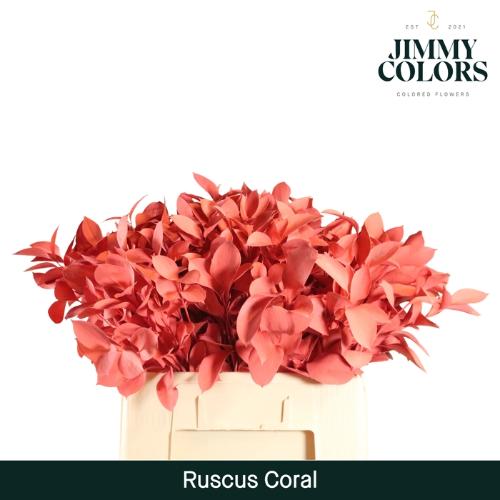 Ruscus kleurbehandeld H%