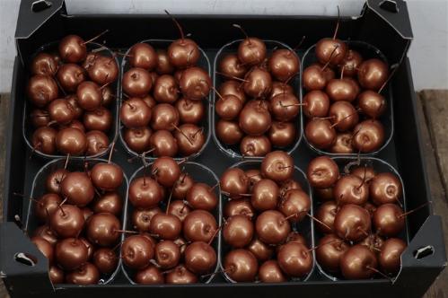 Wax appel H%