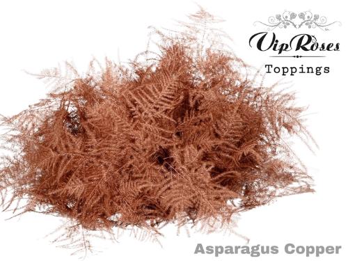 Asparagus overig kleurbehandeld H%