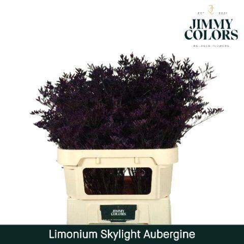 Limonium overig kleurbehandeld H%