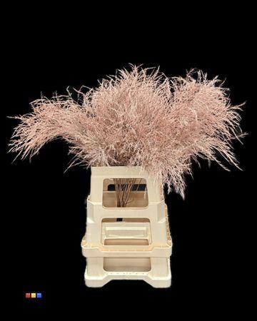 Decoratiegroen kleurbehandeld per bos H%