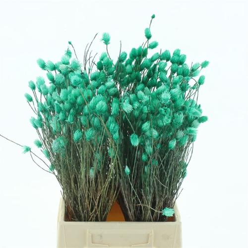 Kaaps Groen