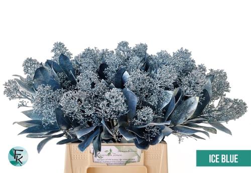 Skimmia per bos overig kleurbehandeld H%