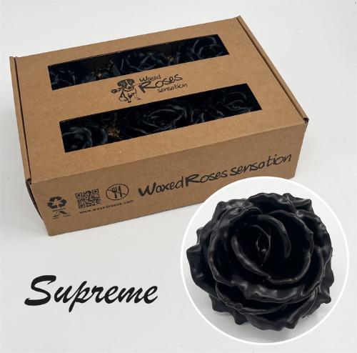 Rosa grootbloemig gewaxt H%