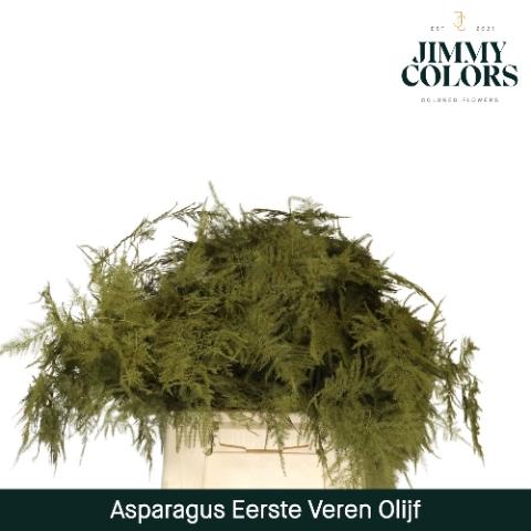 Asparagus overig kleurbehandeld H%