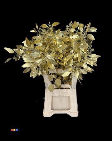 Eucalyptus cinerea kleurbehandeld per bos H%