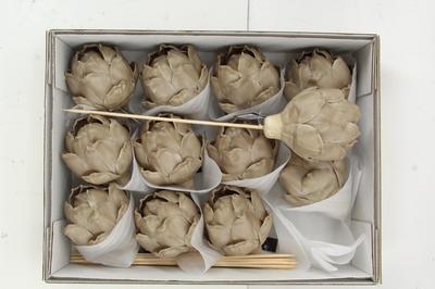 Huis en tuindecoratie overig H%