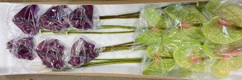 Anthurium Andreanum Grp gemengd