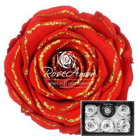 Rosa grootbloemig kleurbehandeld H%