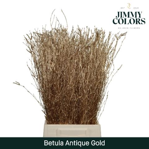 Betula kleurbehandeld H%