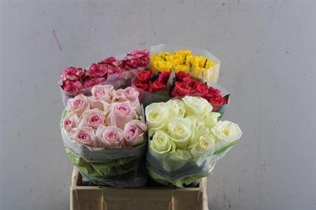 Rosa grootbloemig gemengd in fust