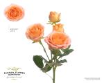 6b51dcd5-bb23-46a7-9075-2cc8fb23e3bc.jpg