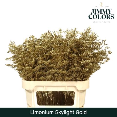 Limonium overig kleurbehandeld H%