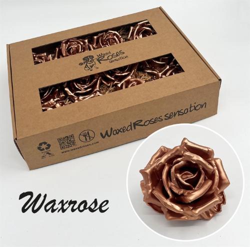 Rosa grootbloemig gewaxt H%