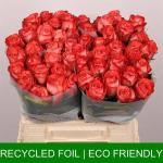 6bd20e12-0211-4fab-8f4d-bcb0b28cc018.jpg