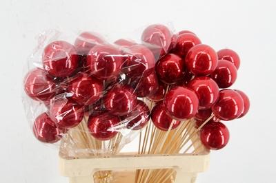 Huis en tuindecoratie overig H%