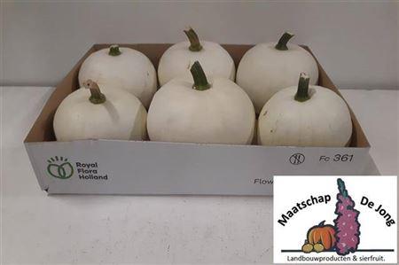 Siervruchten per stuk Cucurbita pepo 'Baby Boo'