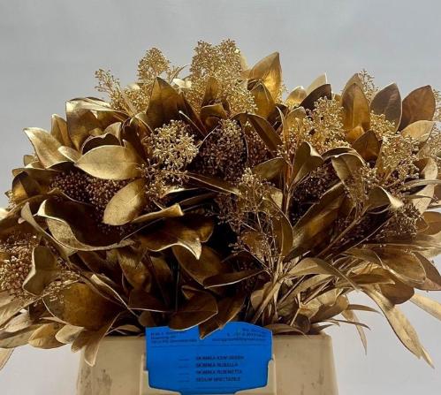 Skimmia per bos overig kleurbehandeld H%