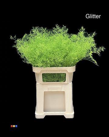 Limonium overig kleurbehandeld H%
