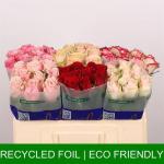 6d44457a-8267-4ce1-902b-b2447fac39bb.jpg