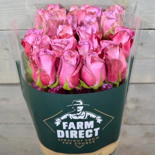 Rosa grootbloemig Moody Blues!