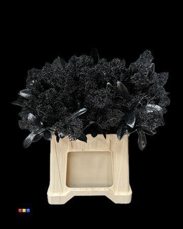 Skimmia per bos overig kleurbehandeld H%